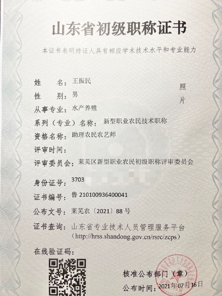 资质荣誉
