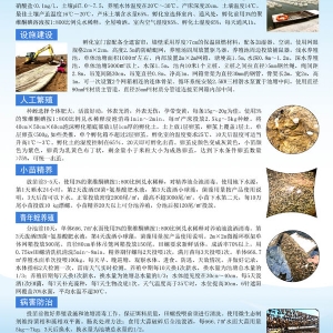 资质荣誉