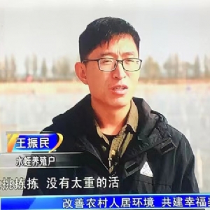 资质荣誉
