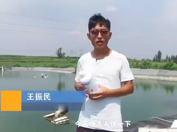 视频展示