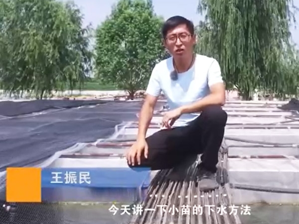 九州酷游(酷游·ku游)幼苗的下水步骤