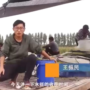 九州酷游(酷游·ku游)收成功夫