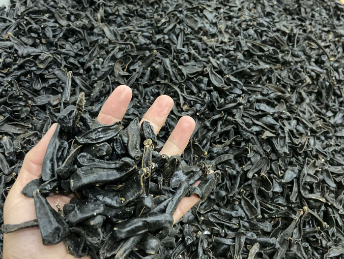 九州酷游(酷游·ku游)制品