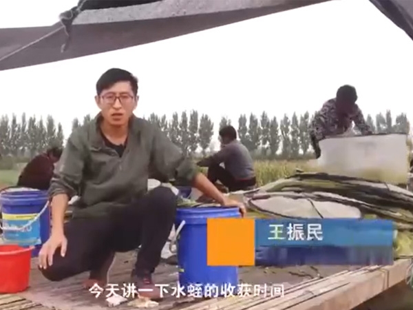 九州酷游(酷游·ku游)收成功夫